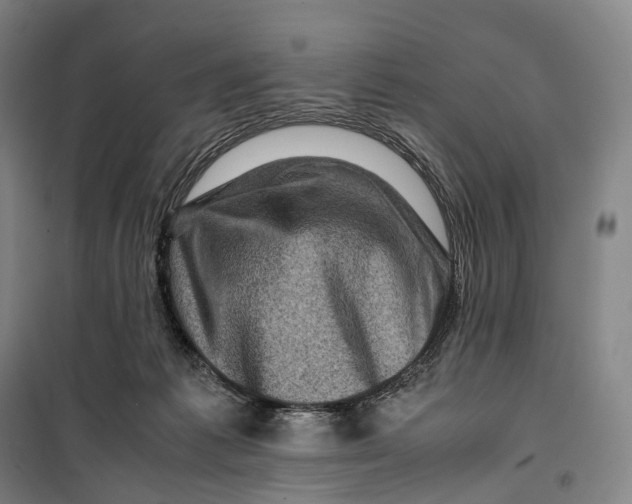 X0000099570221200806061611