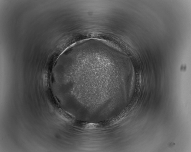 X0000099570222200806061611