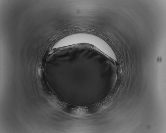 X0000099570223200806061611