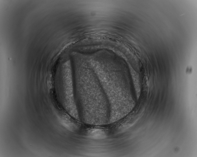 X0000099570224200806061611