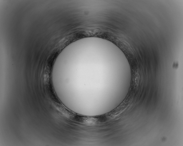 X0000099570226200806061611