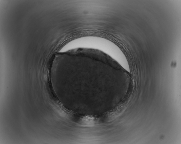 X0000099570227200806061611