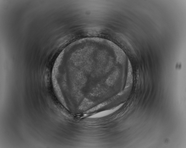 X0000099570228200806061611
