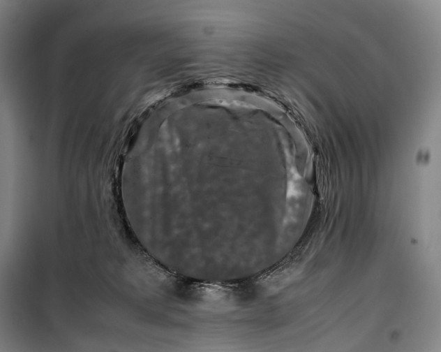 X0000099570229200806061611