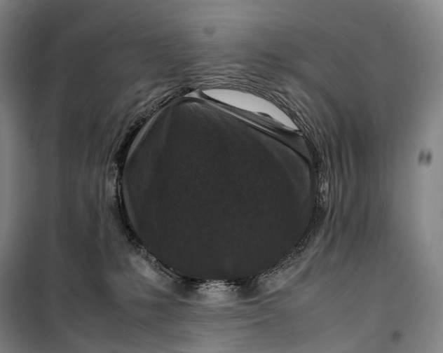 X0000099570231200806061610