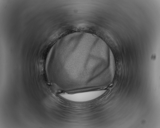 X0000099570232200806061610