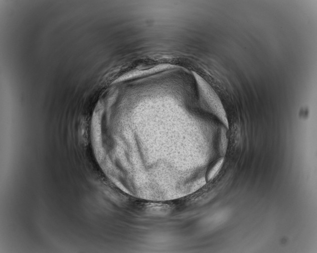X0000099570234200806061610