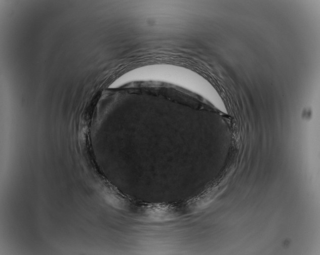 X0000099570235200806061610