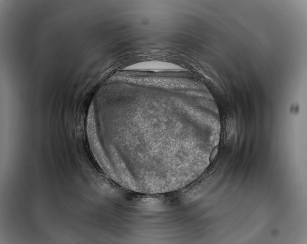 X0000099570236200806061610