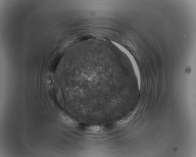 X0000099570237200806061610