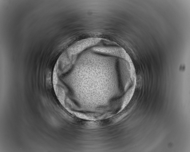 X0000099570238200806061610