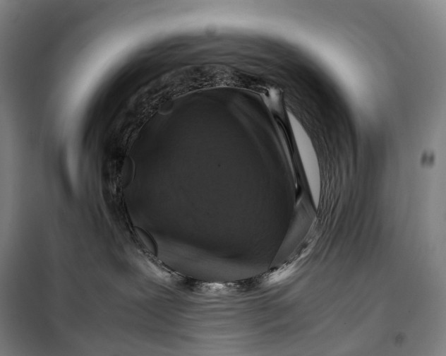 X0000099570239200806061610