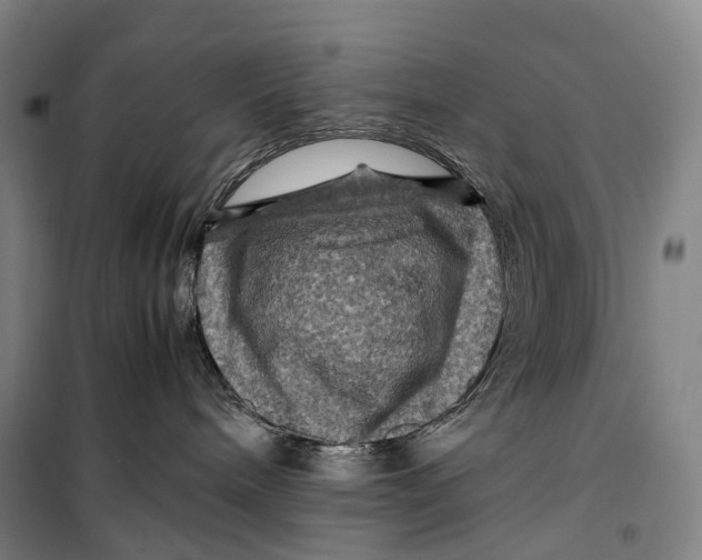 X0000099570240200806061610