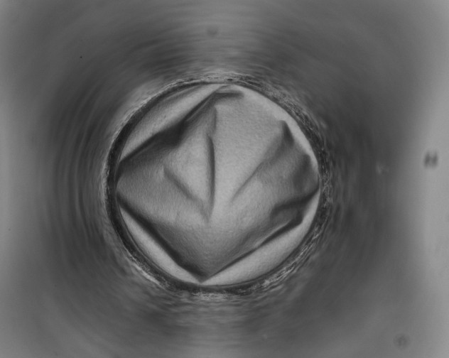 X0000099570242200806061610