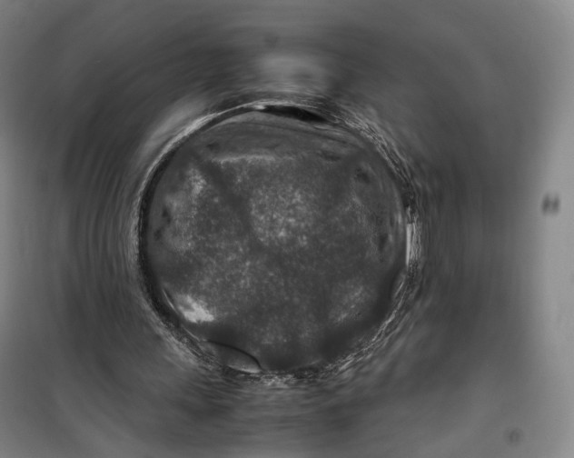 X0000099570243200806061610