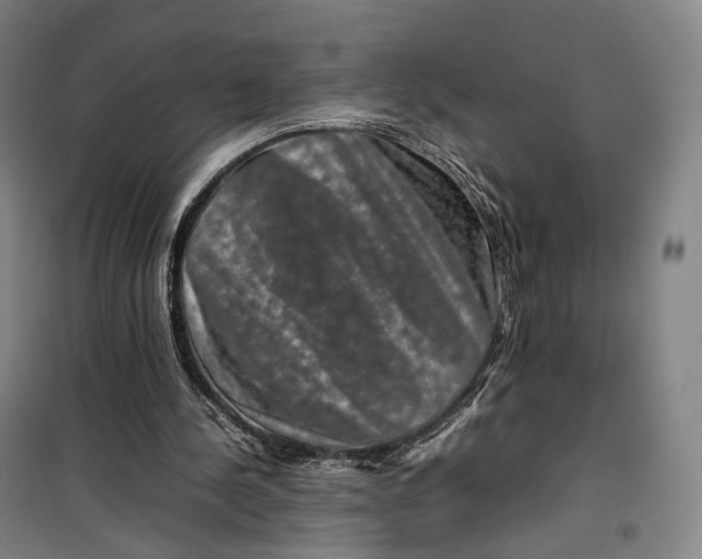 X0000099570244200806061610