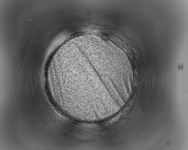 X0000099570245200806061610
