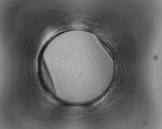 X0000099570246200806061610