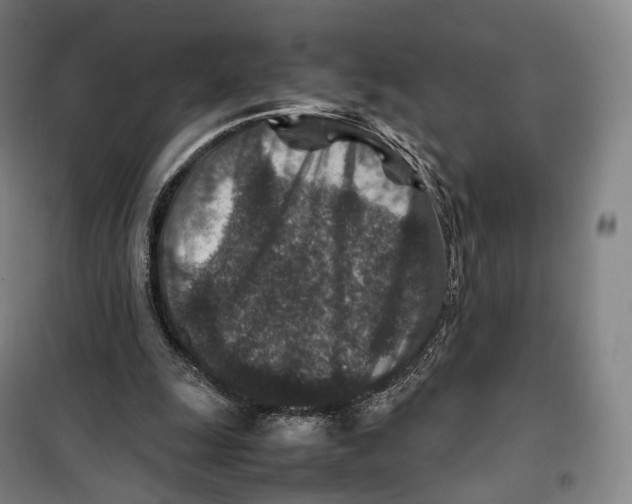 X0000099570247200806061610