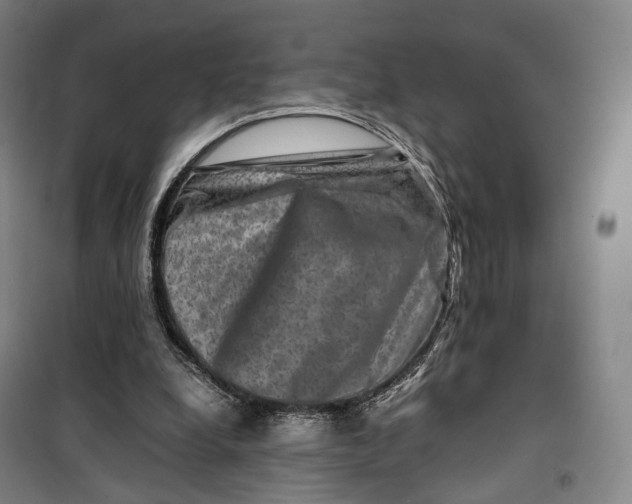 X0000099570248200806061610