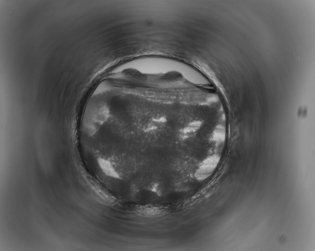 X0000099570249200806061610