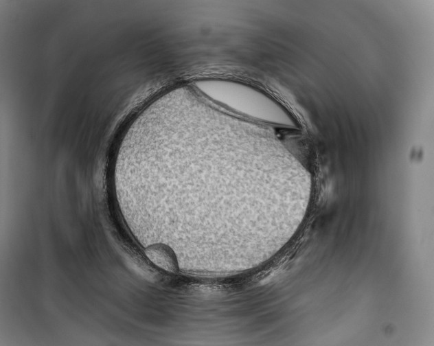 X0000099570250200806061610