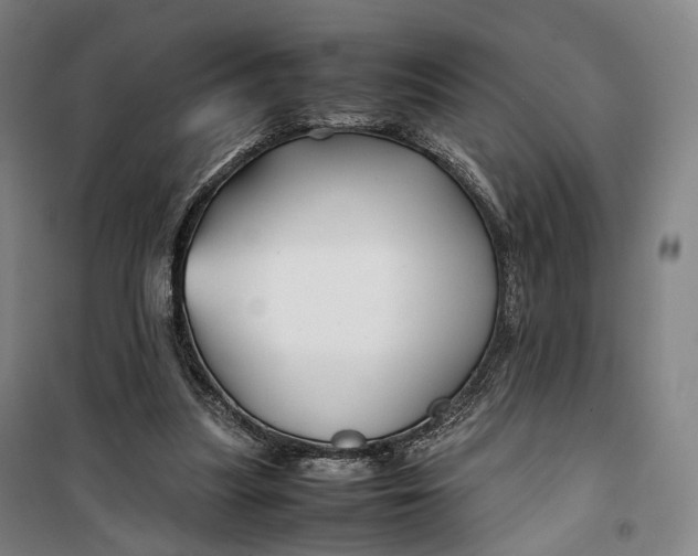 X0000099570251200806061610