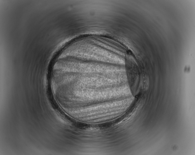 X0000099570252200806061610