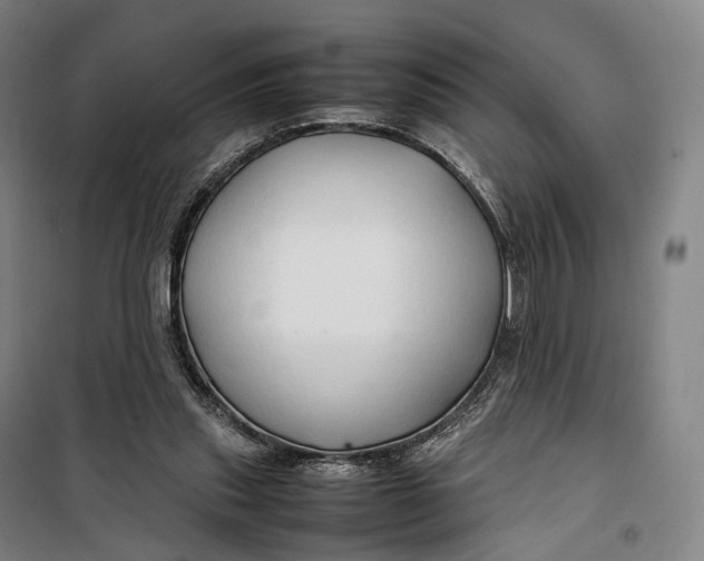 X0000099570253200806061610