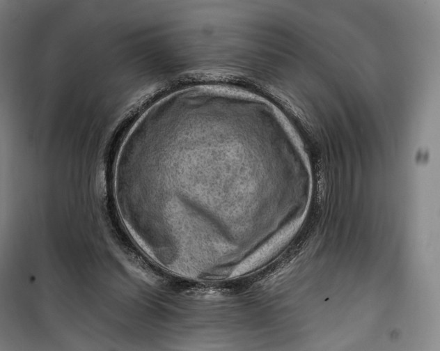 X0000099570254200806061610