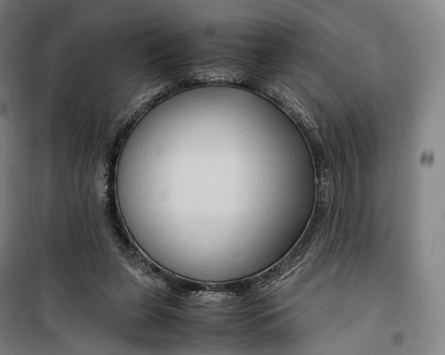 X0000099570255200806061610