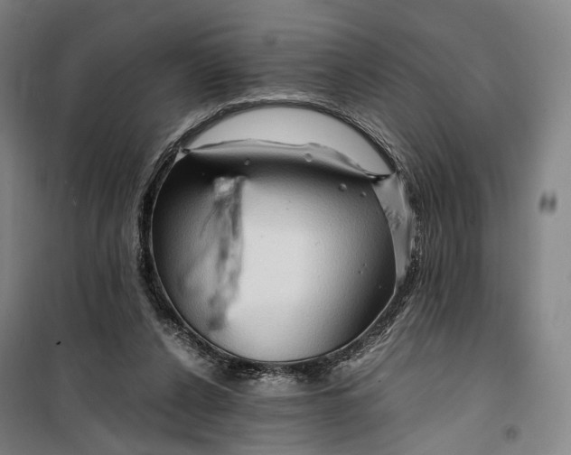 X0000099570256200806061610