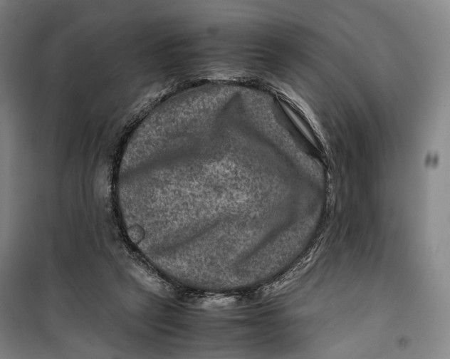 X0000099570257200806061610
