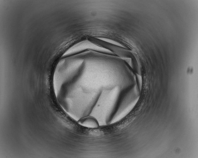 X0000099570258200806061610