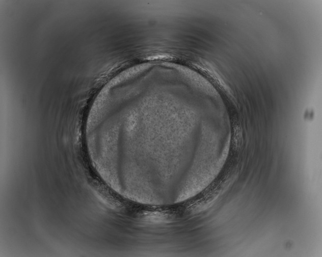 X0000099570259200806061610