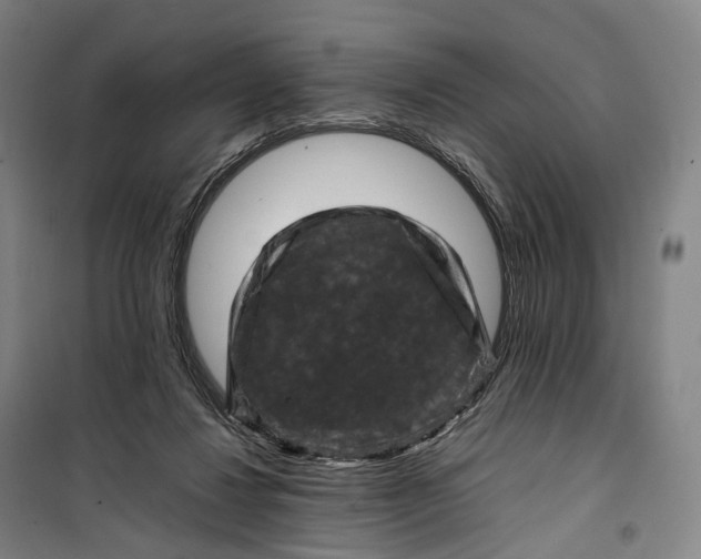 X0000099570260200806061610