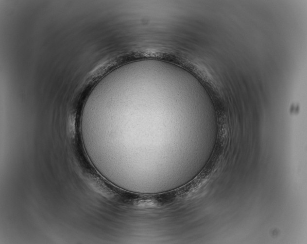 X0000099570262200806061610