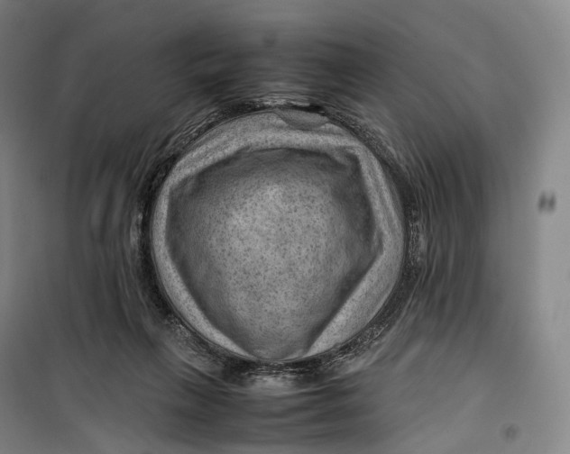 X0000099570263200806061610