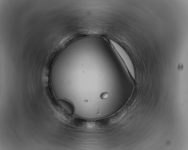 X0000099570264200806061610