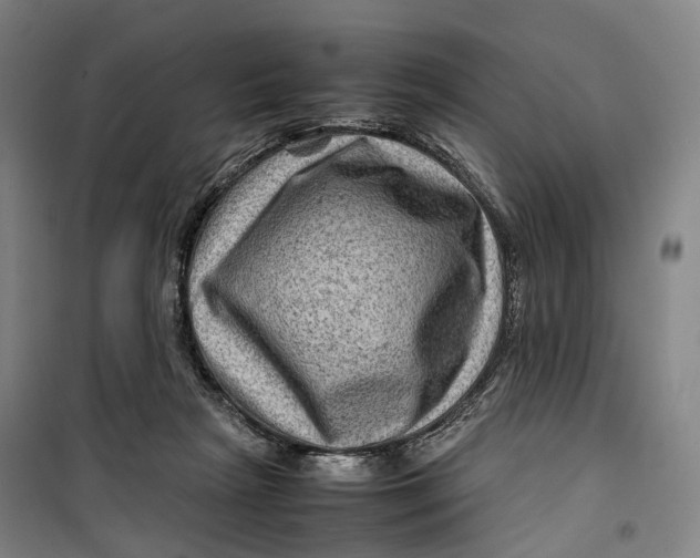 X0000099570265200806061610