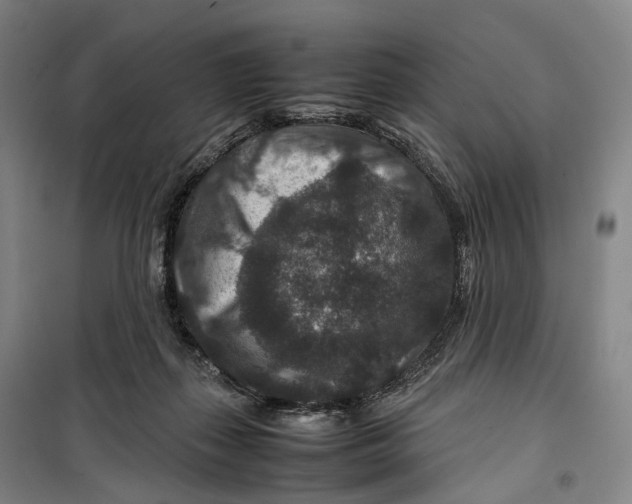 X0000099570267200806061610