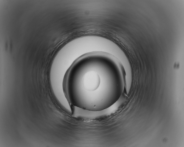 X0000099570268200806061610