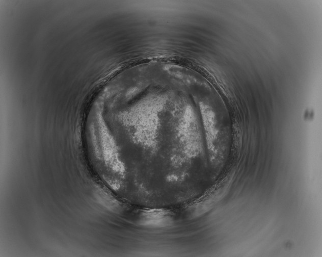 X0000099570269200806061610
