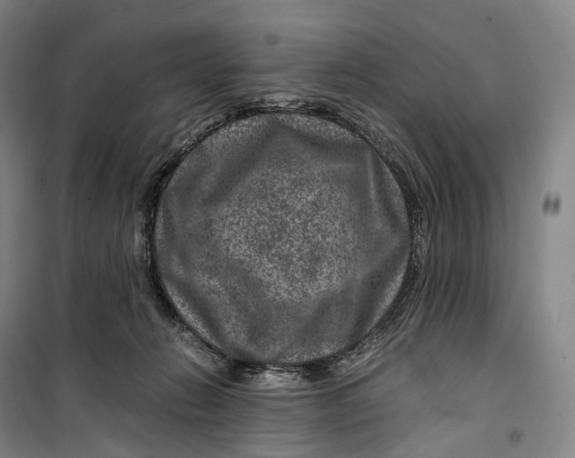 X0000099570270200806061610