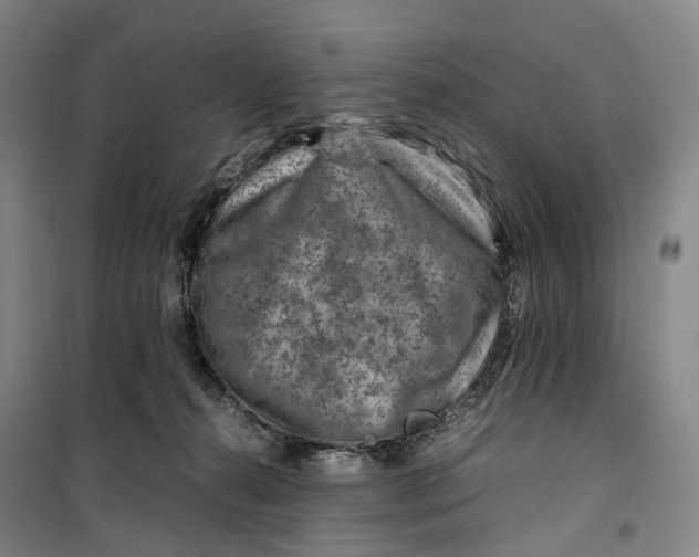 X0000099570272200806061610
