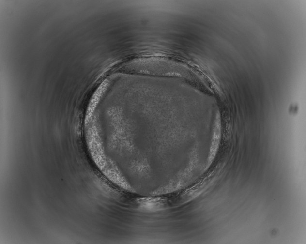 X0000099570273200806061610