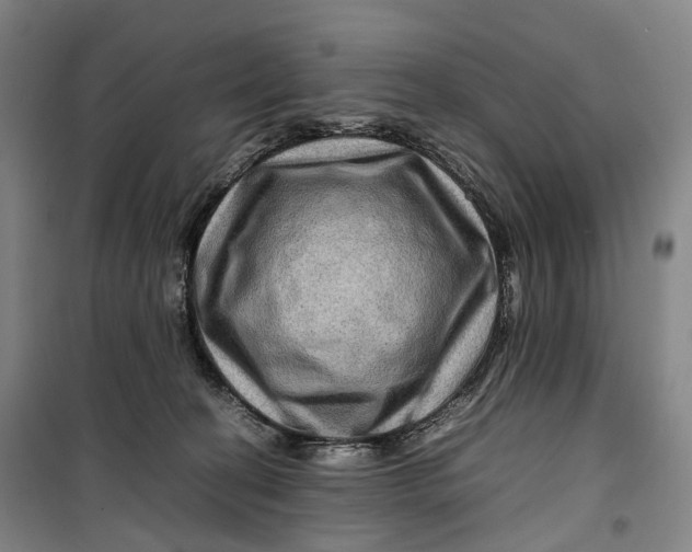 X0000099570274200806061610
