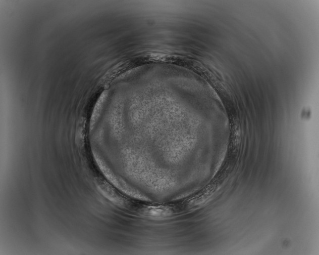 X0000099570275200806061610