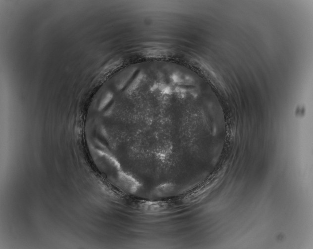 X0000099570277200806061610