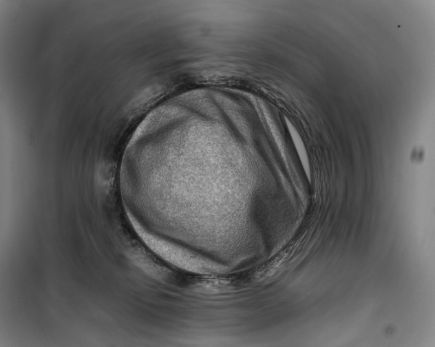 X0000099570278200806061610